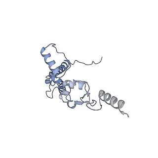 28635_8evs_BJ_v1-0
Hypopseudouridylated yeast 80S bound with Taura syndrome virus (TSV) internal ribosome entry site (IRES), eEF2 and GDP, Structure II