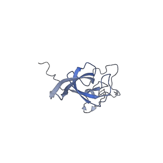 28635_8evs_BL_v1-0
Hypopseudouridylated yeast 80S bound with Taura syndrome virus (TSV) internal ribosome entry site (IRES), eEF2 and GDP, Structure II