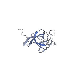 28635_8evs_BL_v2-0
Hypopseudouridylated yeast 80S bound with Taura syndrome virus (TSV) internal ribosome entry site (IRES), eEF2 and GDP, Structure II