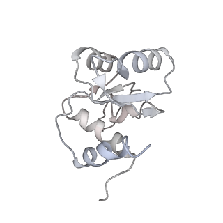 28635_8evs_BM_v1-0
Hypopseudouridylated yeast 80S bound with Taura syndrome virus (TSV) internal ribosome entry site (IRES), eEF2 and GDP, Structure II
