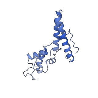 28635_8evs_BN_v1-0
Hypopseudouridylated yeast 80S bound with Taura syndrome virus (TSV) internal ribosome entry site (IRES), eEF2 and GDP, Structure II