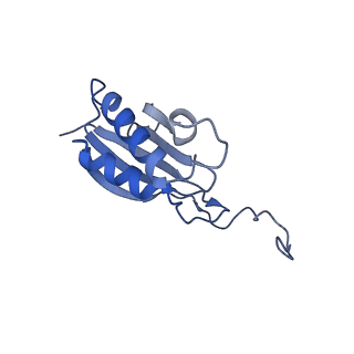 28635_8evs_BO_v1-0
Hypopseudouridylated yeast 80S bound with Taura syndrome virus (TSV) internal ribosome entry site (IRES), eEF2 and GDP, Structure II