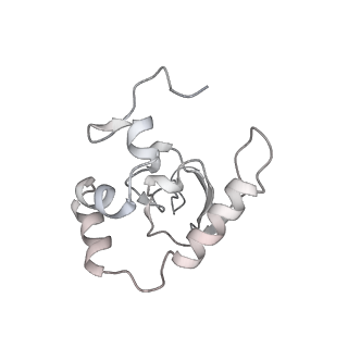 28635_8evs_BP_v1-0
Hypopseudouridylated yeast 80S bound with Taura syndrome virus (TSV) internal ribosome entry site (IRES), eEF2 and GDP, Structure II