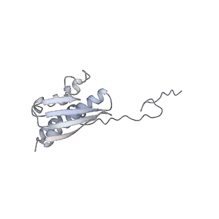 28635_8evs_BQ_v1-0
Hypopseudouridylated yeast 80S bound with Taura syndrome virus (TSV) internal ribosome entry site (IRES), eEF2 and GDP, Structure II