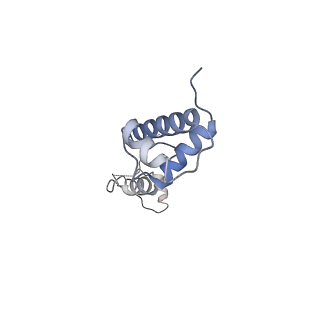 28635_8evs_BR_v1-0
Hypopseudouridylated yeast 80S bound with Taura syndrome virus (TSV) internal ribosome entry site (IRES), eEF2 and GDP, Structure II