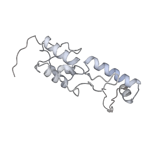28635_8evs_BS_v1-0
Hypopseudouridylated yeast 80S bound with Taura syndrome virus (TSV) internal ribosome entry site (IRES), eEF2 and GDP, Structure II