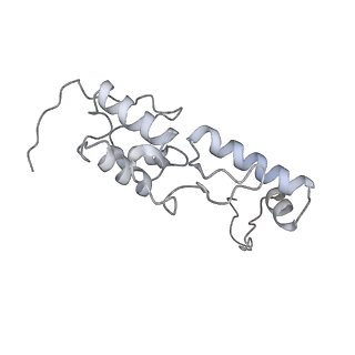 28635_8evs_BS_v2-0
Hypopseudouridylated yeast 80S bound with Taura syndrome virus (TSV) internal ribosome entry site (IRES), eEF2 and GDP, Structure II
