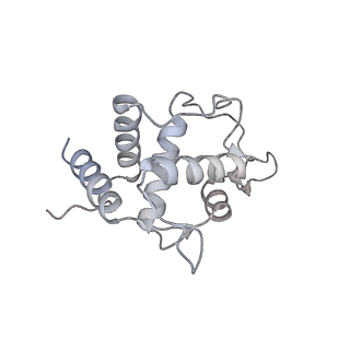 28635_8evs_BT_v1-0
Hypopseudouridylated yeast 80S bound with Taura syndrome virus (TSV) internal ribosome entry site (IRES), eEF2 and GDP, Structure II