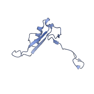 28635_8evs_BV_v1-0
Hypopseudouridylated yeast 80S bound with Taura syndrome virus (TSV) internal ribosome entry site (IRES), eEF2 and GDP, Structure II