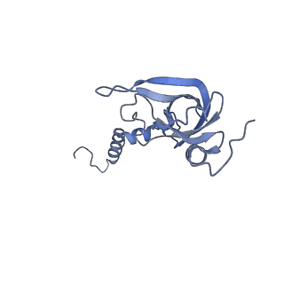 28635_8evs_BX_v1-0
Hypopseudouridylated yeast 80S bound with Taura syndrome virus (TSV) internal ribosome entry site (IRES), eEF2 and GDP, Structure II