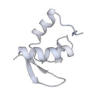 28635_8evs_BZ_v1-0
Hypopseudouridylated yeast 80S bound with Taura syndrome virus (TSV) internal ribosome entry site (IRES), eEF2 and GDP, Structure II