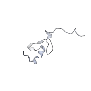 28635_8evs_Bd_v1-0
Hypopseudouridylated yeast 80S bound with Taura syndrome virus (TSV) internal ribosome entry site (IRES), eEF2 and GDP, Structure II