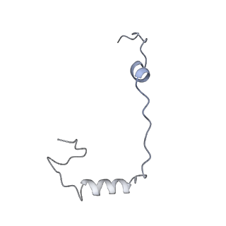 28635_8evs_Be_v1-0
Hypopseudouridylated yeast 80S bound with Taura syndrome virus (TSV) internal ribosome entry site (IRES), eEF2 and GDP, Structure II