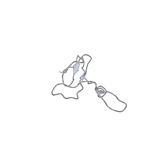 28635_8evs_Bf_v1-0
Hypopseudouridylated yeast 80S bound with Taura syndrome virus (TSV) internal ribosome entry site (IRES), eEF2 and GDP, Structure II