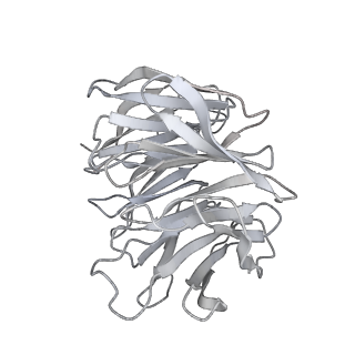 28635_8evs_Bg_v1-0
Hypopseudouridylated yeast 80S bound with Taura syndrome virus (TSV) internal ribosome entry site (IRES), eEF2 and GDP, Structure II