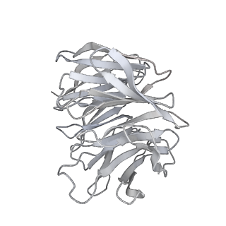 28635_8evs_Bg_v2-0
Hypopseudouridylated yeast 80S bound with Taura syndrome virus (TSV) internal ribosome entry site (IRES), eEF2 and GDP, Structure II