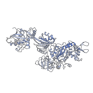 28635_8evs_DC_v1-0
Hypopseudouridylated yeast 80S bound with Taura syndrome virus (TSV) internal ribosome entry site (IRES), eEF2 and GDP, Structure II