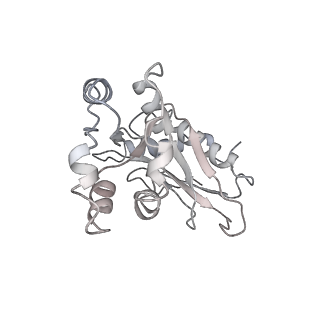 28635_8evs_E_v1-0
Hypopseudouridylated yeast 80S bound with Taura syndrome virus (TSV) internal ribosome entry site (IRES), eEF2 and GDP, Structure II