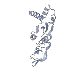 28635_8evs_V_v1-0
Hypopseudouridylated yeast 80S bound with Taura syndrome virus (TSV) internal ribosome entry site (IRES), eEF2 and GDP, Structure II