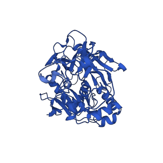 28637_8evu_A_v1-0
Cryo EM structure of Vibrio cholerae NQR