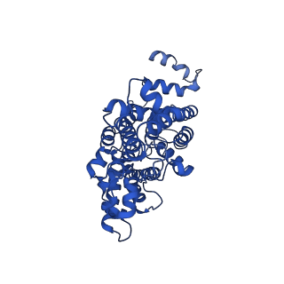 28637_8evu_B_v1-0
Cryo EM structure of Vibrio cholerae NQR