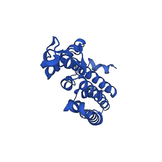 28637_8evu_D_v1-0
Cryo EM structure of Vibrio cholerae NQR