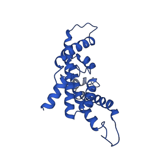 28637_8evu_E_v1-0
Cryo EM structure of Vibrio cholerae NQR