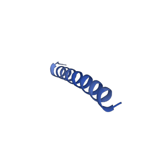 28637_8evu_F_v1-0
Cryo EM structure of Vibrio cholerae NQR