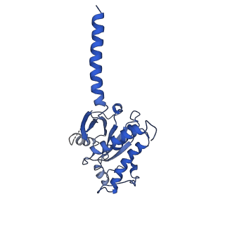31329_7evm_A_v1-0
Cryo-EM structure of the compound 2-bound human GLP-1 receptor-Gs complex