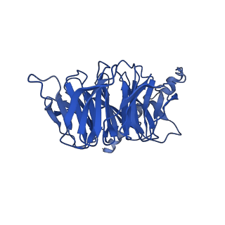 31329_7evm_B_v1-0
Cryo-EM structure of the compound 2-bound human GLP-1 receptor-Gs complex
