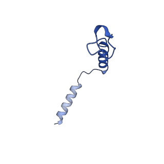 31329_7evm_G_v1-0
Cryo-EM structure of the compound 2-bound human GLP-1 receptor-Gs complex