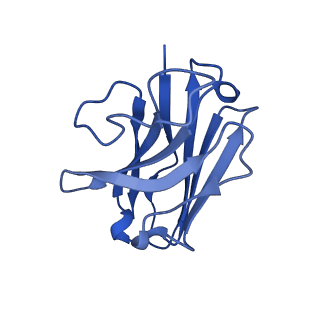 31329_7evm_N_v1-0
Cryo-EM structure of the compound 2-bound human GLP-1 receptor-Gs complex
