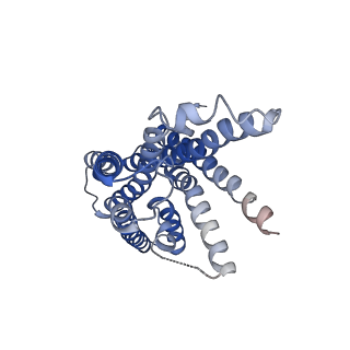 31329_7evm_R_v1-0
Cryo-EM structure of the compound 2-bound human GLP-1 receptor-Gs complex