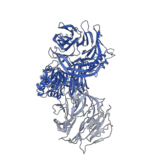 31330_7evn_A_v1-2
The cryo-EM structure of the DDX42-SF3b complex