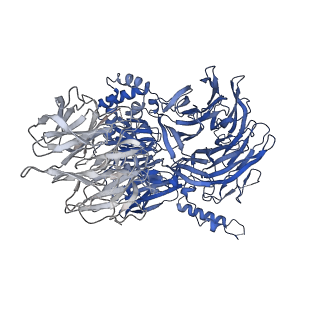 31334_7evo_3_v1-2
The cryo-EM structure of the human 17S U2 snRNP