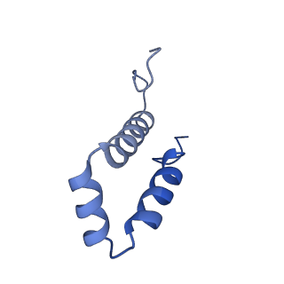 31334_7evo_5_v1-2
The cryo-EM structure of the human 17S U2 snRNP