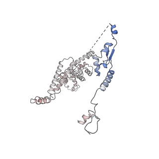31334_7evo_C_v1-2
The cryo-EM structure of the human 17S U2 snRNP