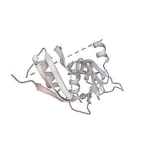 31334_7evo_G_v1-2
The cryo-EM structure of the human 17S U2 snRNP