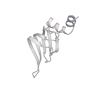 31334_7evo_a_v1-2
The cryo-EM structure of the human 17S U2 snRNP