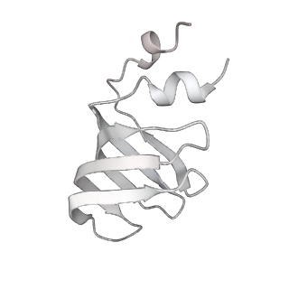 31334_7evo_g_v1-2
The cryo-EM structure of the human 17S U2 snRNP