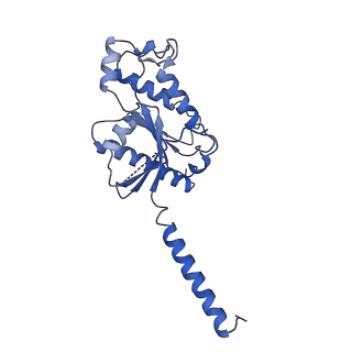 31341_7evy_A_v1-1
Cryo-EM structure of siponimod -bound Sphingosine-1-phosphate receptor 1 in complex with Gi protein