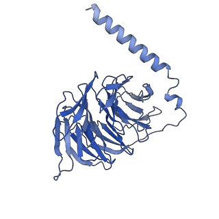 31341_7evy_B_v1-1
Cryo-EM structure of siponimod -bound Sphingosine-1-phosphate receptor 1 in complex with Gi protein
