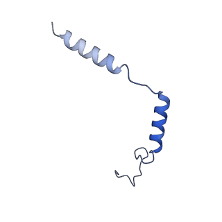 31341_7evy_C_v1-1
Cryo-EM structure of siponimod -bound Sphingosine-1-phosphate receptor 1 in complex with Gi protein