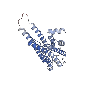 31341_7evy_D_v1-1
Cryo-EM structure of siponimod -bound Sphingosine-1-phosphate receptor 1 in complex with Gi protein