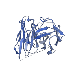 31341_7evy_E_v1-1
Cryo-EM structure of siponimod -bound Sphingosine-1-phosphate receptor 1 in complex with Gi protein