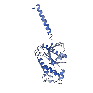 31342_7evz_A_v1-1
Cryo-EM structure of cenerimod -bound Sphingosine-1-phosphate receptor 1 in complex with Gi protein