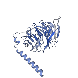31342_7evz_B_v1-1
Cryo-EM structure of cenerimod -bound Sphingosine-1-phosphate receptor 1 in complex with Gi protein