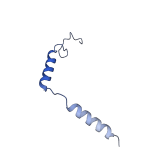 31342_7evz_C_v1-1
Cryo-EM structure of cenerimod -bound Sphingosine-1-phosphate receptor 1 in complex with Gi protein