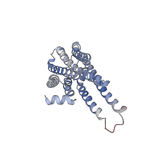 31342_7evz_D_v1-1
Cryo-EM structure of cenerimod -bound Sphingosine-1-phosphate receptor 1 in complex with Gi protein
