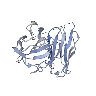 31342_7evz_E_v1-1
Cryo-EM structure of cenerimod -bound Sphingosine-1-phosphate receptor 1 in complex with Gi protein